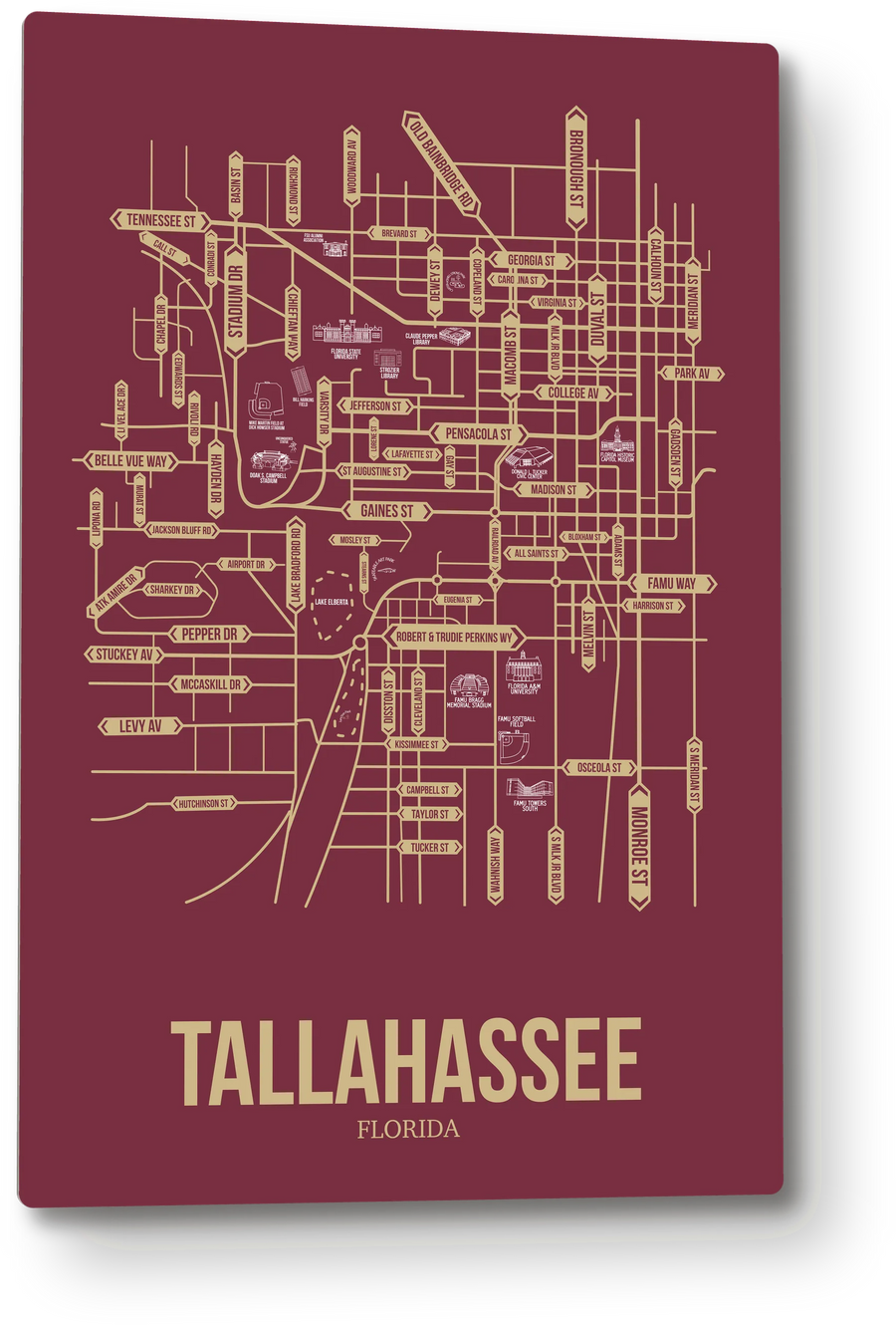 Tallahassee, Florida street map: the 12x18 metal plate on the wall, school colors